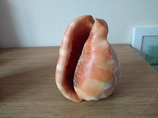 Beautiful vintage bull mouth - beautiful,
