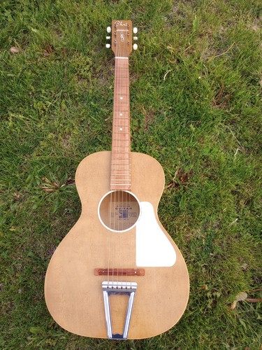 Chris adjustomatic guitar - chris,