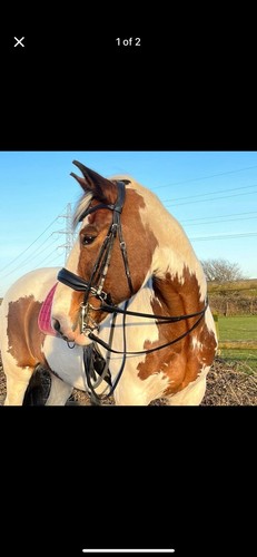Full double bridle - full,
