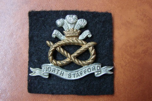 The north staffordshire - the,