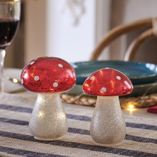 Indoor Christmas Set of 2