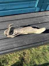 Driftwood Large Interesting Piece Nicely Worn Smooth From Thames Estuary