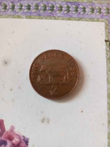 Cow guernsey pence - 2,