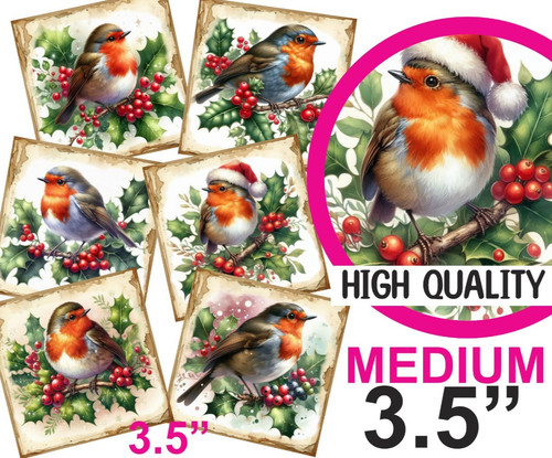 Christmas robins holly - robins,