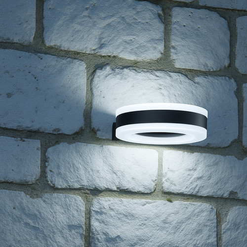 20w led down ring wall - led, up