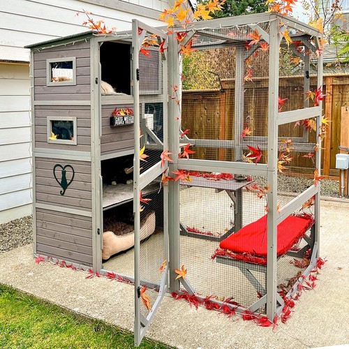 Outdoor cat house catio - cat,