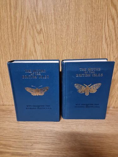 The moths - of,