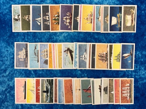 The saga ships single tea - saga,