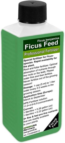 Green24 ficus food - food, liquid