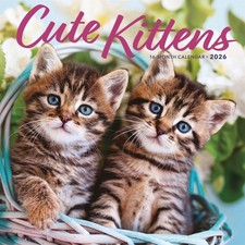 Cute Kittens Calendar 2026 -