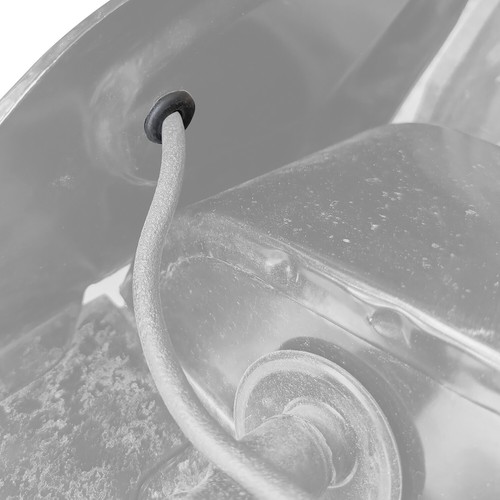 Beetle petrol fuel hard - beetle,