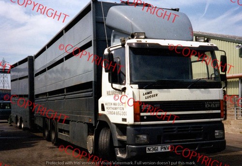 Truck lorry photo - truck/lorry,