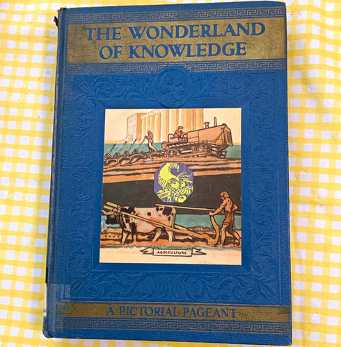 The wonderland knowledge - the,