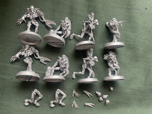Necron flayed ones - flayed,