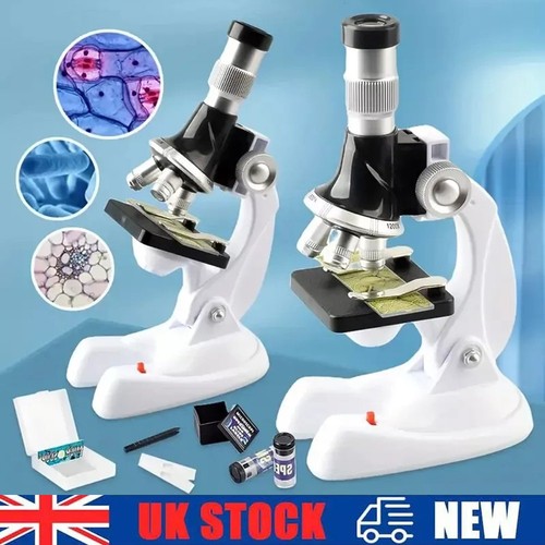 Upright optical microscope - upright,