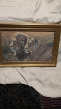 Lion&Lioness Painting By