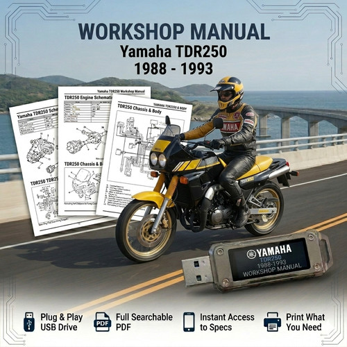 Yamaha tdr250 tdr 250 - tdr, 1988