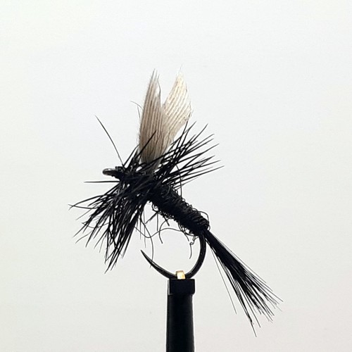 Barbless black gnat - 3,