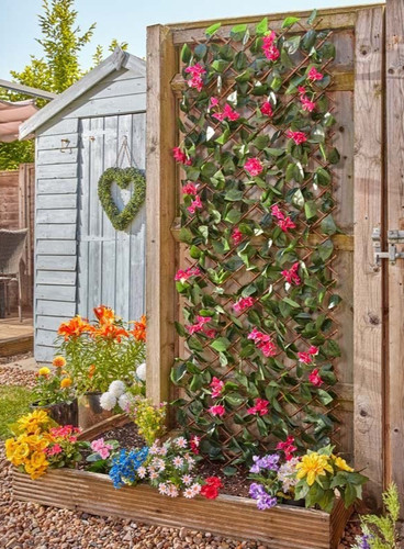 Bougainvillea trellis - bougainvillea,