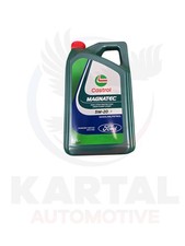 OEM Castrol Magnatec Engine