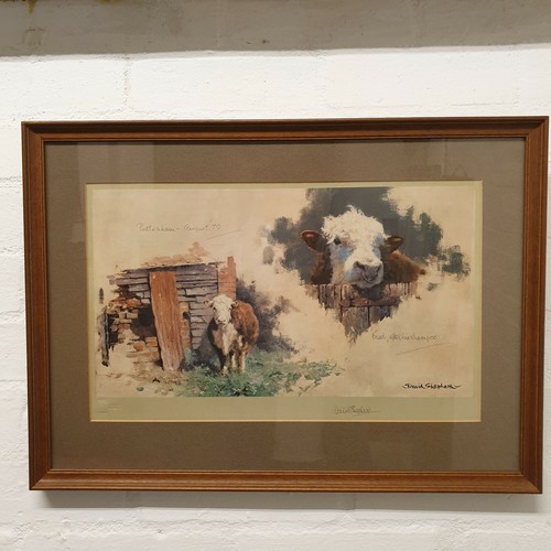 David shepherd signed - david,
