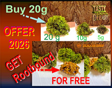 Java Moss High Grade Live
