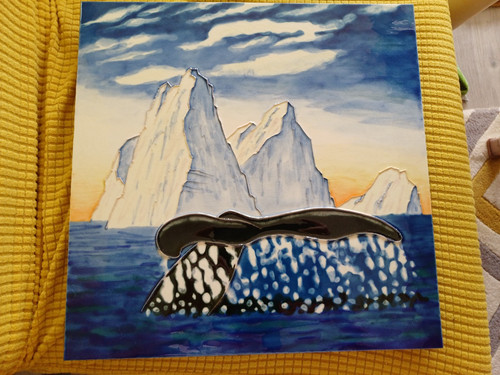 Whales tail dripping - , sea