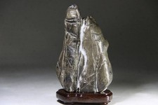 Suiseki Viewing Stone Bonsai