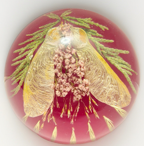 Vintage paperweight bee insect - vintage,