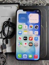 iPhone 12 Pro Max Gold 256GB