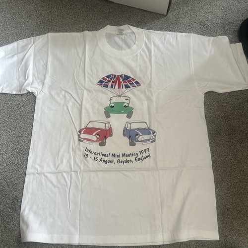 International mini meeting - international,