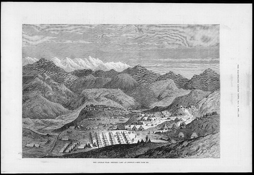 1880 antique print - antique,