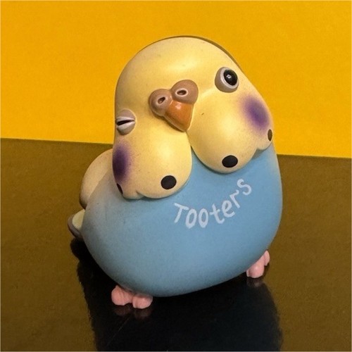 Plzdot what the bird tooters - what,