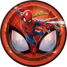 Spiderman Plate Birthday Party