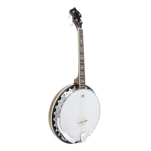 Banjo tenor string - string, fret