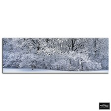 Snowy Forest   Landscapes BOX