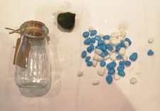 Marimo Moss Ball Kit - Glass Jar Terrarium, Live Aquarium Air Plant Gift, Pet