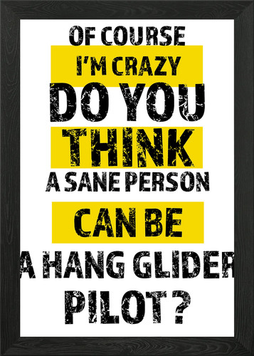 Hang glider pilot - , framed