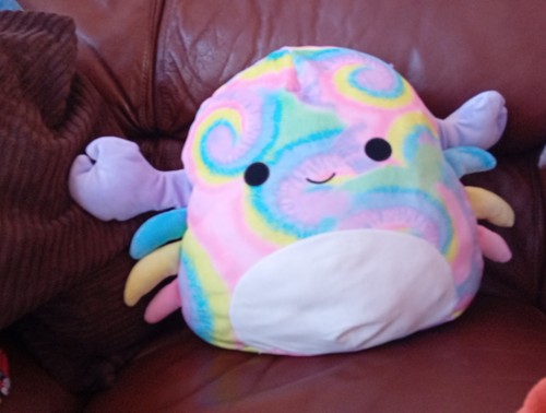 Kellytoy squishmallow - kellytoy,
