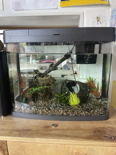 Bowfront glass freshwater - bowfront,