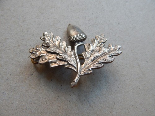 South nottinghamshire hussars - south,