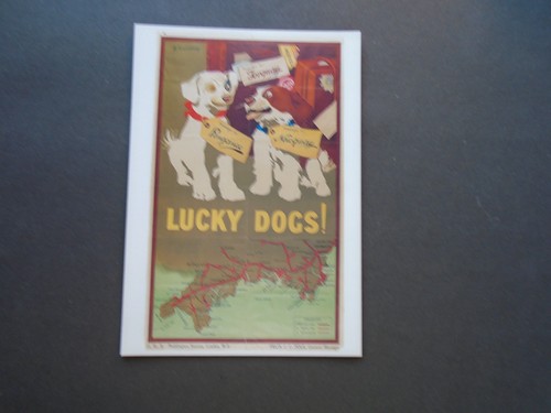 Gwr lucky dogs torquay - pc:, dogs!