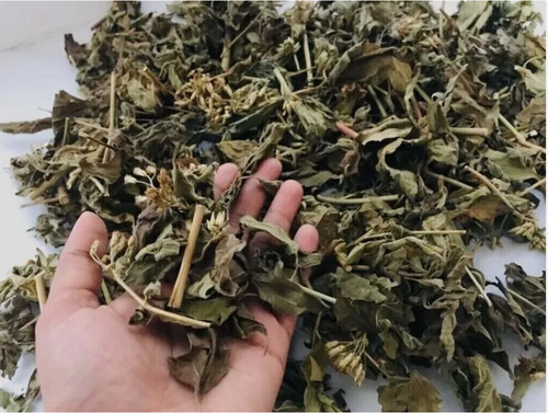 Dried mexican dream - mexican,