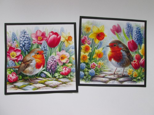Little robin in the - little,
