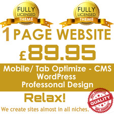 Professional Website Design in