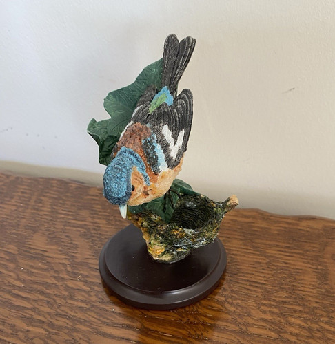 The country bird - bird, collection