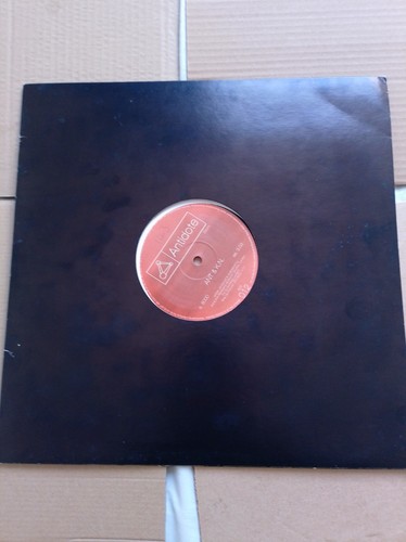 Antidote records ant kn - ant,