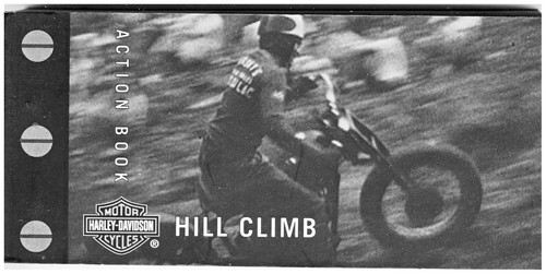 Harley davidson action flip - harley,