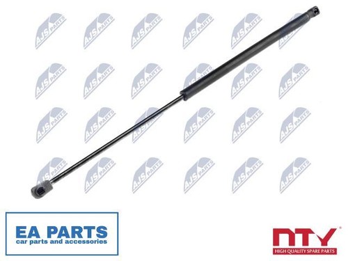 Gas spring boot cargo - boot/cargo, area