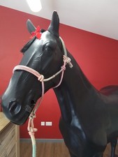 Multi Colour Pastel Rope Halter And Lead Rope CAL 2726